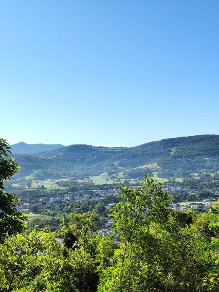 Rolante - Propriedade de 13,4 hectares com dez mil pés de eucalipto.: 4ª foto da galeria de imagens do imóvel