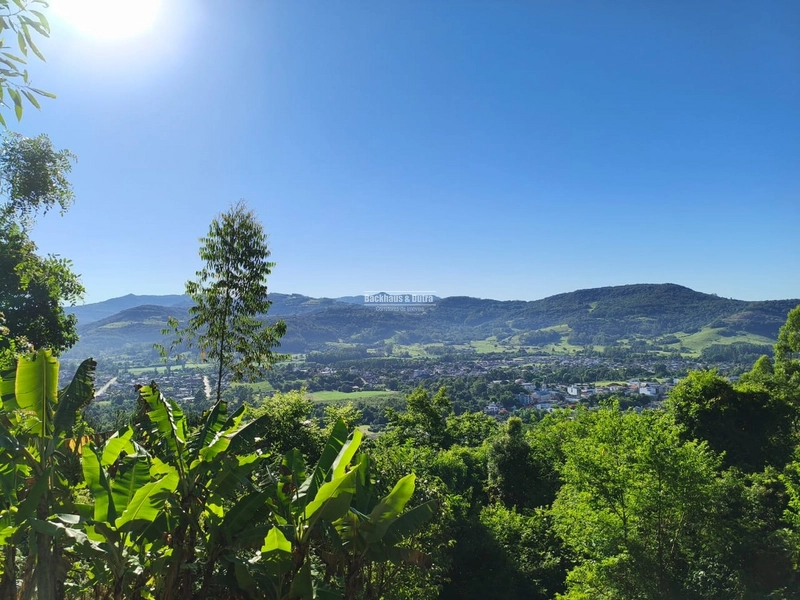 Rolante - Propriedade de 13,4 hectares com dez mil pés de eucalipto.: 3ª foto da galeria de imagens do imóvel