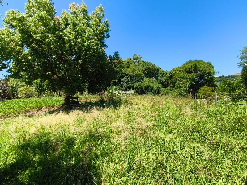 Rolante - Locação casa um dormitório - Centro: 4ª foto da galeria de imagens do imóvel