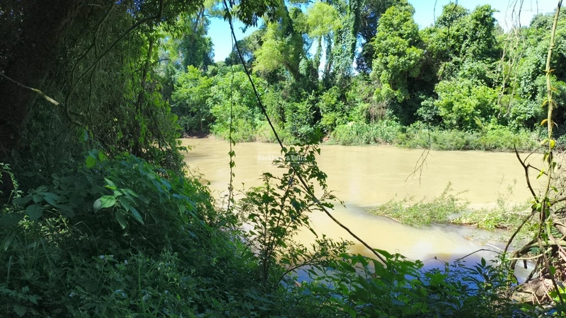 Rolante - Locação casa um dormitório - Centro: 6ª foto da galeria de imagens do imóvel