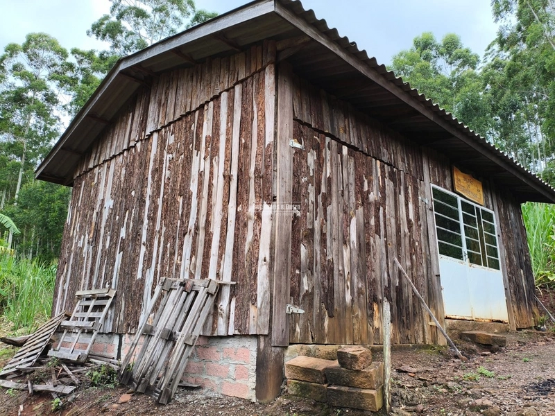 Rolante - Chácara de 2 hectares  – Morro da Figueira: 2ª foto da galeria de imagens do imóvel