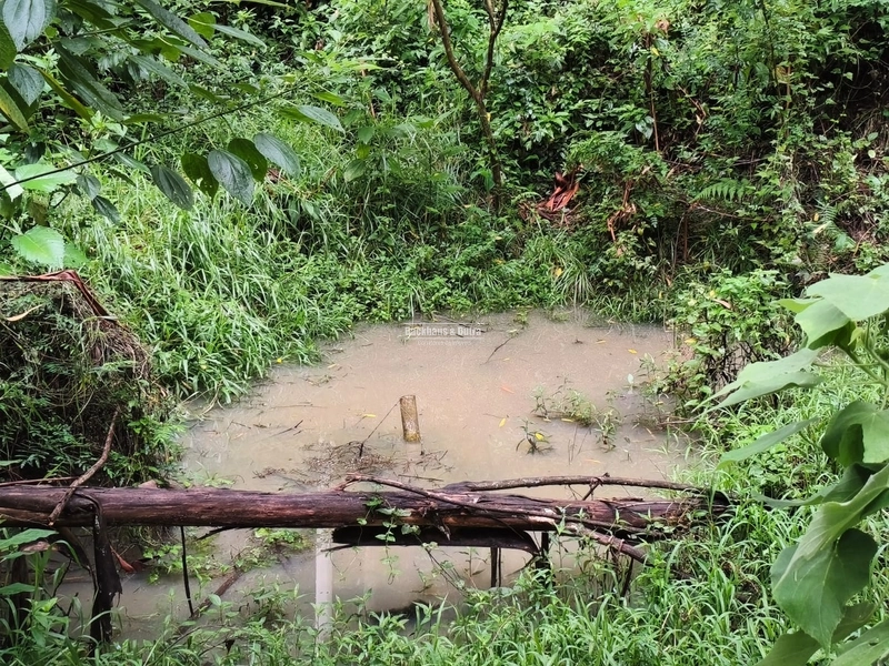 Rolante - Chácara de 2 hectares  – Morro da Figueira: 6ª foto da galeria de imagens do imóvel