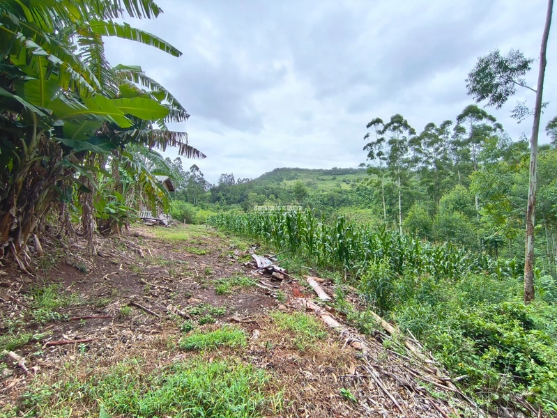 Rolante - Chácara de 2 hectares  – Morro da Figueira: 5ª foto da galeria de imagens do imóvel