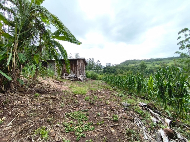 Rolante - Chácara de 2 hectares  – Morro da Figueira: 3ª foto da galeria de imagens do imóvel