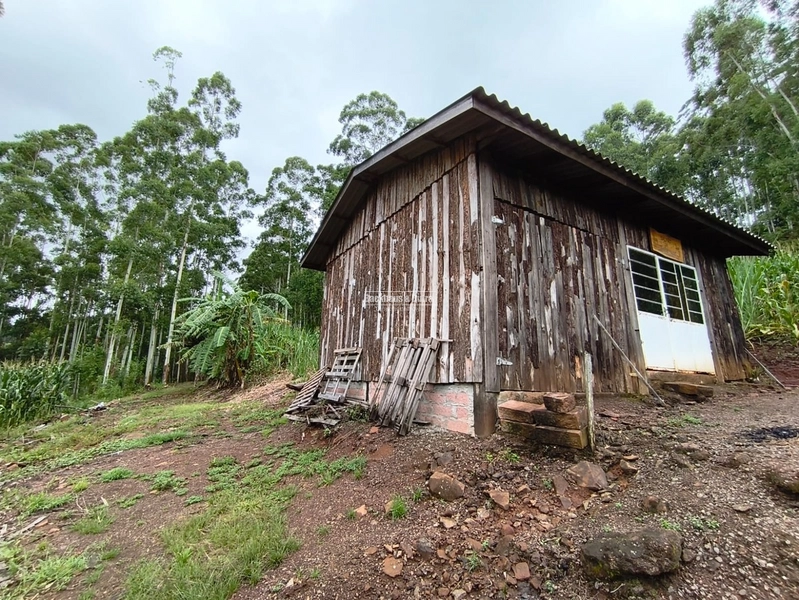Rolante - Chácara de 2 hectares  – Morro da Figueira: 1ª foto da galeria de imagens do imóvel