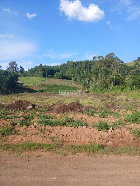 Santo Antônio da Patrulha - 1 hectare à venda – Pinheiros | RS-474: 1ª foto da galeria de imagens do imóvel