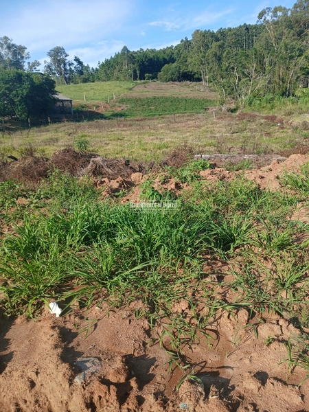 Santo Antônio da Patrulha - 1 hectare à venda – Pinheiros | RS-474: 2ª foto da galeria de imagens do imóvel