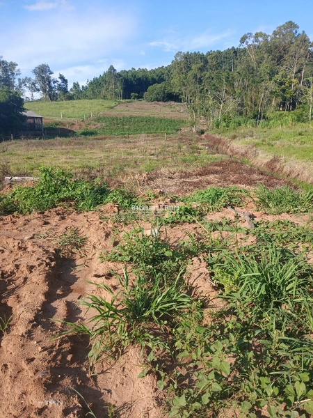 Santo Antônio da Patrulha - 1 hectare à venda – Pinheiros | RS-474: 3ª foto da galeria de imagens do imóvel