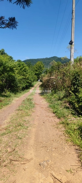 Rolante - Área rural de 2 hectares na subida da Boa Esperança.: 11ª foto da galeria de imagens do imóvel