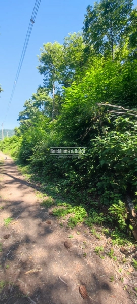 Rolante - Área rural de 2 hectares na subida da Boa Esperança.: 13ª foto da galeria de imagens do imóvel