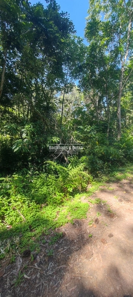 Rolante - Área rural de 2 hectares na subida da Boa Esperança.: 12ª foto da galeria de imagens do imóvel