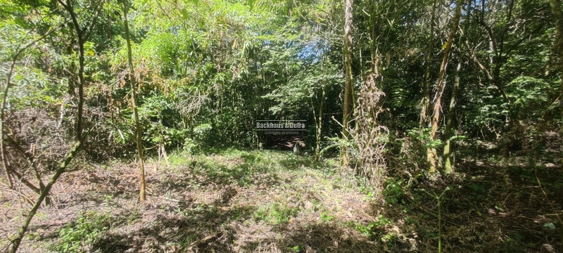 Rolante - Área rural de 2 hectares na subida da Boa Esperança.: 8ª foto da galeria de imagens do imóvel