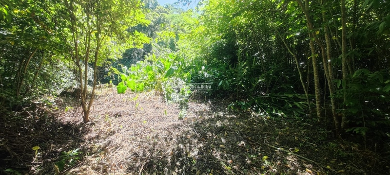 Rolante - Área rural de 2 hectares na subida da Boa Esperança.: 4ª foto da galeria de imagens do imóvel