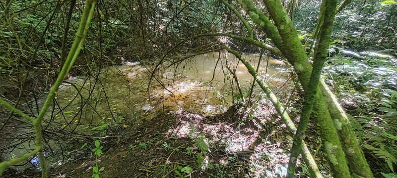 Rolante - Área rural de 2 hectares na subida da Boa Esperança.: 5ª foto da galeria de imagens do imóvel