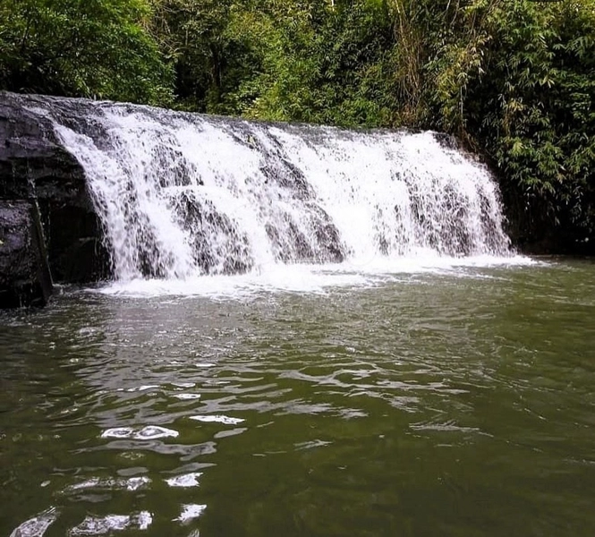 Rolante - Área rural de 2 hectares na subida da Boa Esperança.: 2ª foto da galeria de imagens do imóvel