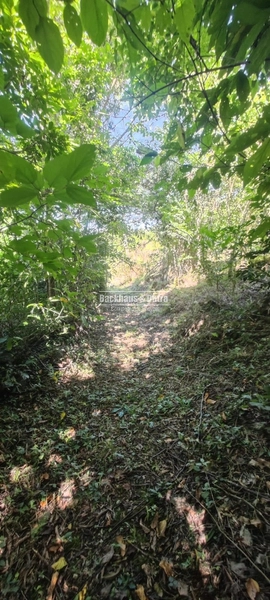 Rolante - Área rural de 2 hectares na subida da Boa Esperança.: 10ª foto da galeria de imagens do imóvel