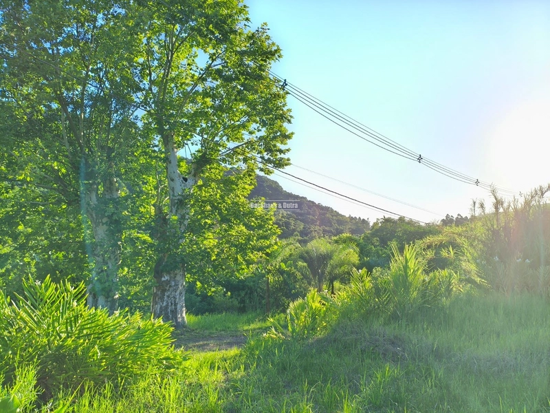 Rolante - Área rural de 5,3 hectares na subida da Boa Esperança.: 5ª foto da galeria de imagens do imóvel