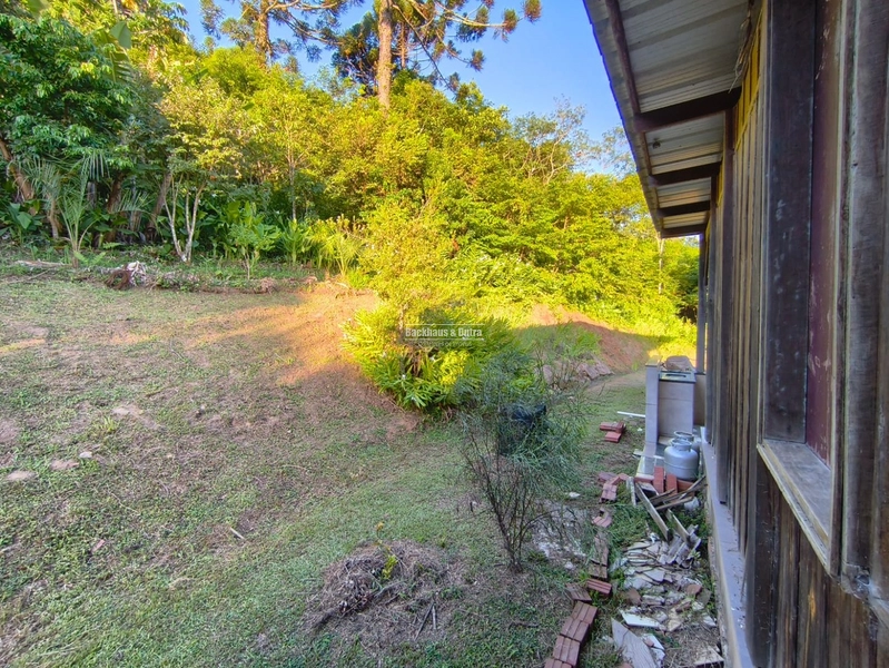 Rolante - Área rural de 5,3 hectares na subida da Boa Esperança.: 9ª foto da galeria de imagens do imóvel