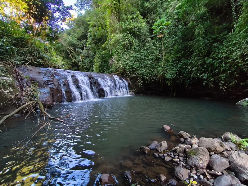 Rolante - Área rural de 5,3 hectares na subida da Boa Esperança.: 1ª foto da galeria de imagens do imóvel