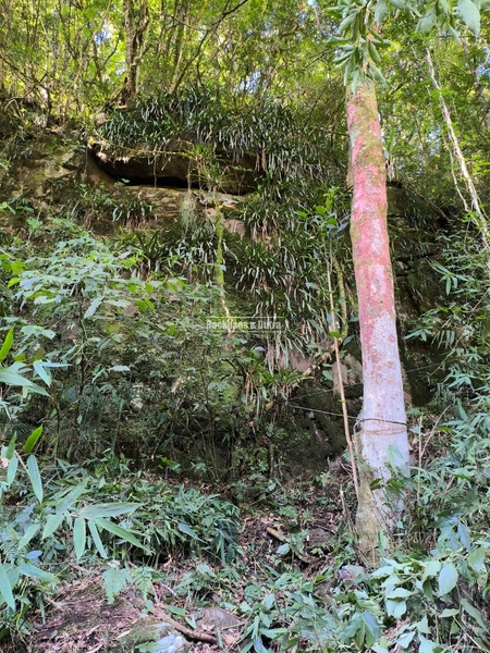 Rolante - Área rural de 3,5 Hectares na subida da Boa Esperança.: 15ª foto da galeria de imagens do imóvel