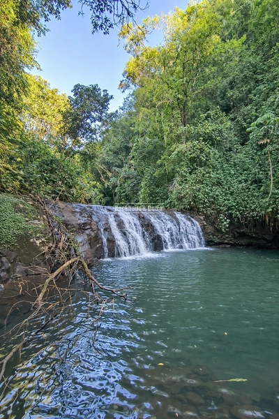 Rolante - Área rural de 3,5 Hectares na subida da Boa Esperança.: 6ª foto da galeria de imagens do imóvel