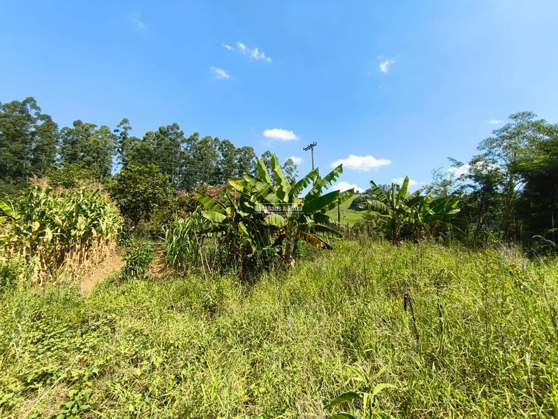 Rolante - Excelente oportunidade para investimento ou construção imedi: 4ª foto da galeria de imagens do imóvel