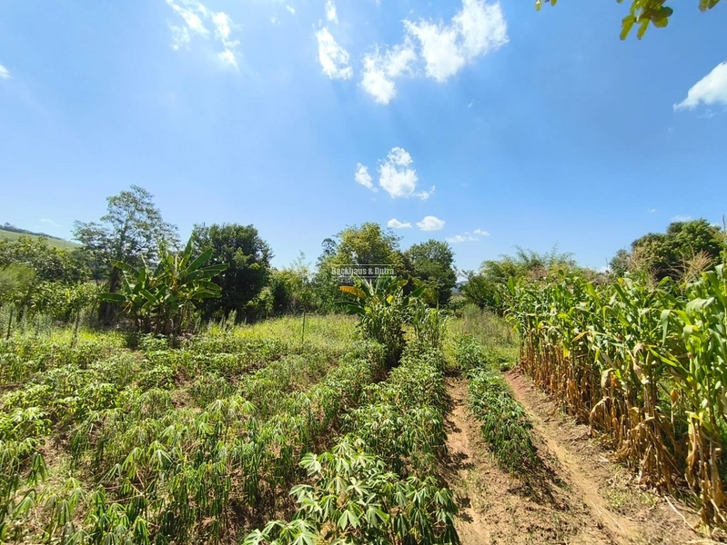 Rolante - Excelente oportunidade para investimento ou construção imedi: 6ª foto da galeria de imagens do imóvel