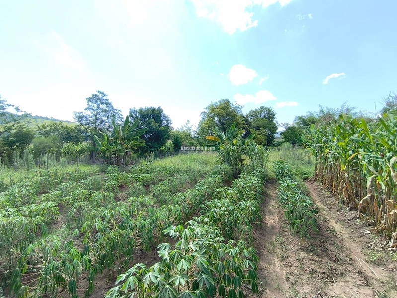 Rolante - Excelente oportunidade para investimento ou construção imedi: 2ª foto da galeria de imagens do imóvel