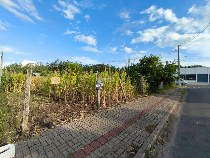Rolante - Oportunidade para construir ou investir - Rio Branco: 6ª foto da galeria de imagens do imóvel