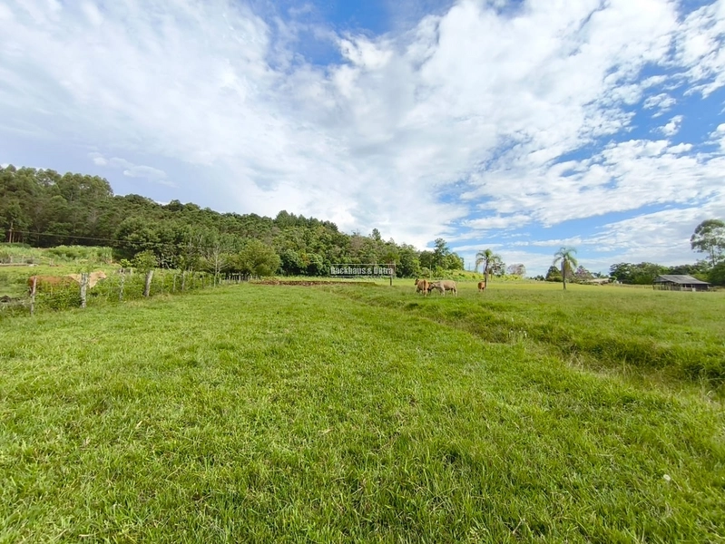 Rolante - Linda chácara com aproximadamente 1 hectare - Ilha Nova: 11ª foto da galeria de imagens do imóvel