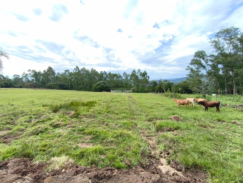Rolante - Linda chácara com aproximadamente 1 hectare - Ilha Nova: 10ª foto da galeria de imagens do imóvel