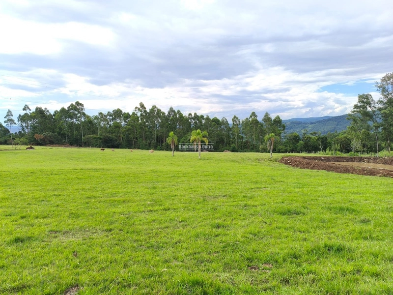 Rolante - Linda chácara com aproximadamente 1 hectare - Ilha Nova: 2ª foto da galeria de imagens do imóvel
