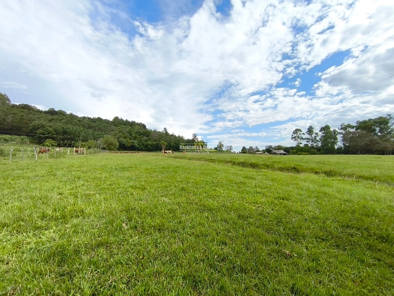 Rolante - Linda chácara com aproximadamente 1 hectare - Ilha Nova: 13ª foto da galeria de imagens do imóvel