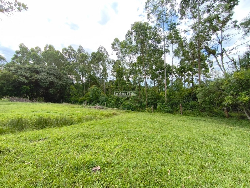Rolante - Linda chácara com aproximadamente 1 hectare - Ilha Nova: 12ª foto da galeria de imagens do imóvel