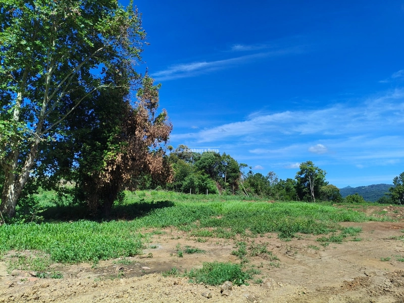 Rolante - Loteamento Rural – Morro Grande / Boa Esperança.: 8ª foto da galeria de imagens do imóvel