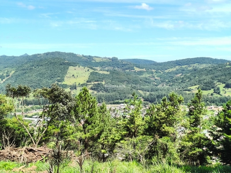 Rolante - Loteamento Rural – Morro Grande / Boa Esperança.: 9ª foto da galeria de imagens do imóvel