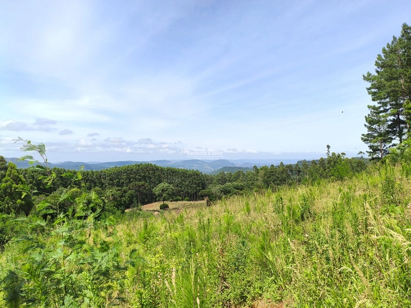 Rolante - Área rural – Morro Grande: 1ª foto da galeria de imagens do imóvel