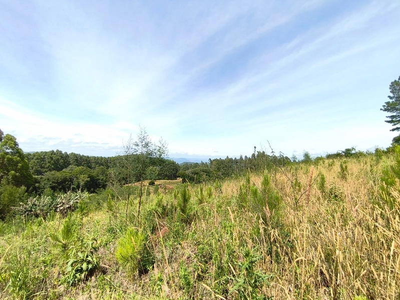 Rolante - Área rural – Morro Grande: 3ª foto da galeria de imagens do imóvel