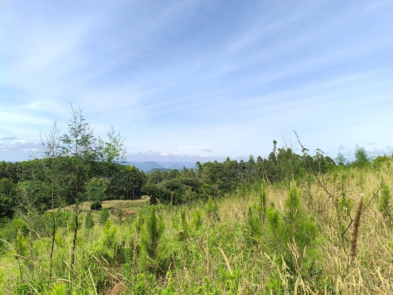 Rolante - Área rural – Morro Grande: 4ª foto da galeria de imagens do imóvel