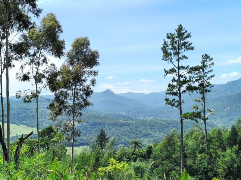Rolante - Área rural – Morro Grande: 7ª foto da galeria de imagens do imóvel