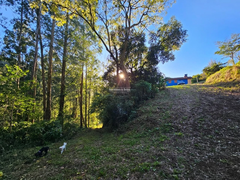 Riozinho - chácara de 6000m² - com casa - LINHA 5 de NOVEMBRO: 4ª foto da galeria de imagens do imóvel