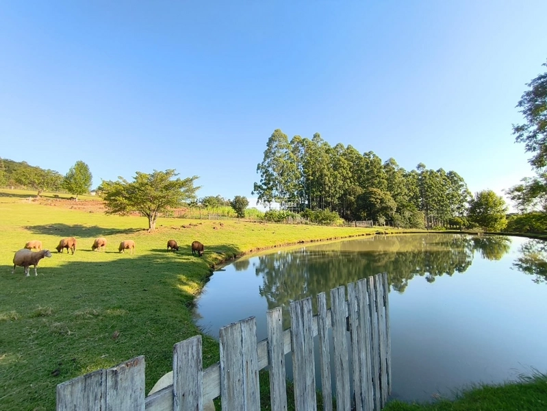 ROLANTE- CHÁCARA DE 4 HECTARES COM CASA E AÇUDES - MORRO GRANDE: 3ª foto da galeria de imagens do imóvel