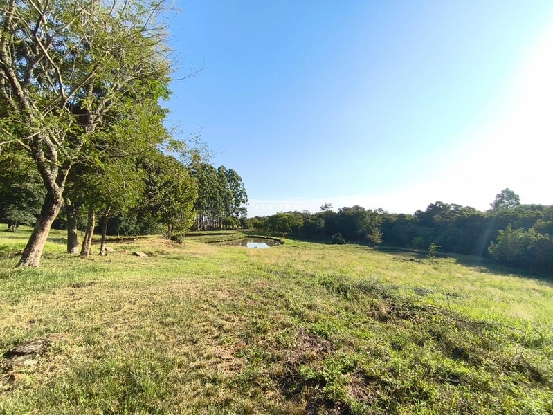 ROLANTE- CHÁCARA DE 4 HECTARES COM CASA E AÇUDES - MORRO GRANDE: 11ª foto da galeria de imagens do imóvel