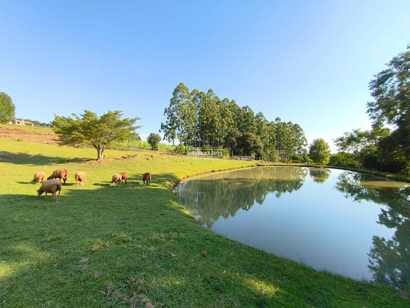 ROLANTE- CHÁCARA DE 4 HECTARES COM CASA E AÇUDES - MORRO GRANDE: 5ª foto da galeria de imagens do imóvel