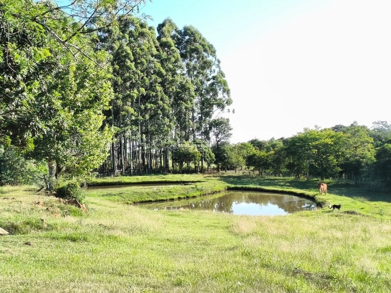 ROLANTE- CHÁCARA DE 4 HECTARES COM CASA E AÇUDES - MORRO GRANDE: 15ª foto da galeria de imagens do imóvel