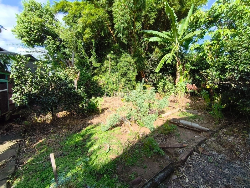 Terrono de 300m²- casa em alvenaria 45m²-Rolante: 2ª foto da galeria de imagens do imóvel