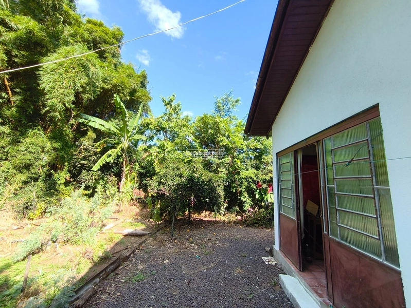 Terrono de 300m²- casa em alvenaria 45m²-Rolante: 8ª foto da galeria de imagens do imóvel