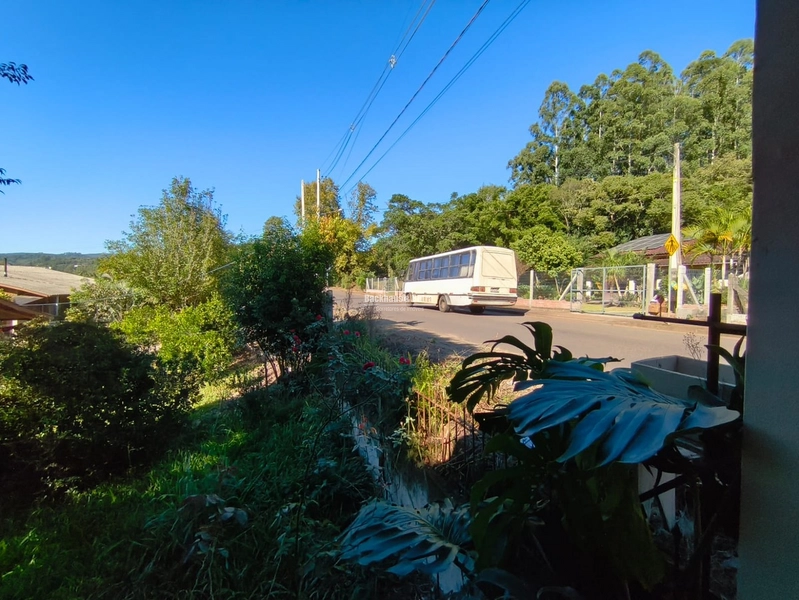 ROLANTE - TERRENO 390m²- CASA DE MADEIRA - AREIA: 11ª foto da galeria de imagens do imóvel