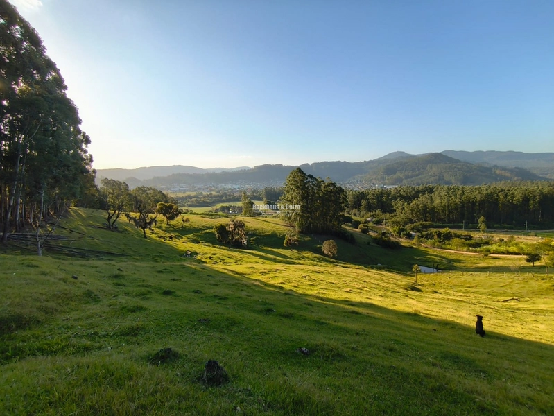 Rolante - Chácara de 5,5 hectares - Linha Reichert: 1ª foto da galeria de imagens do imóvel