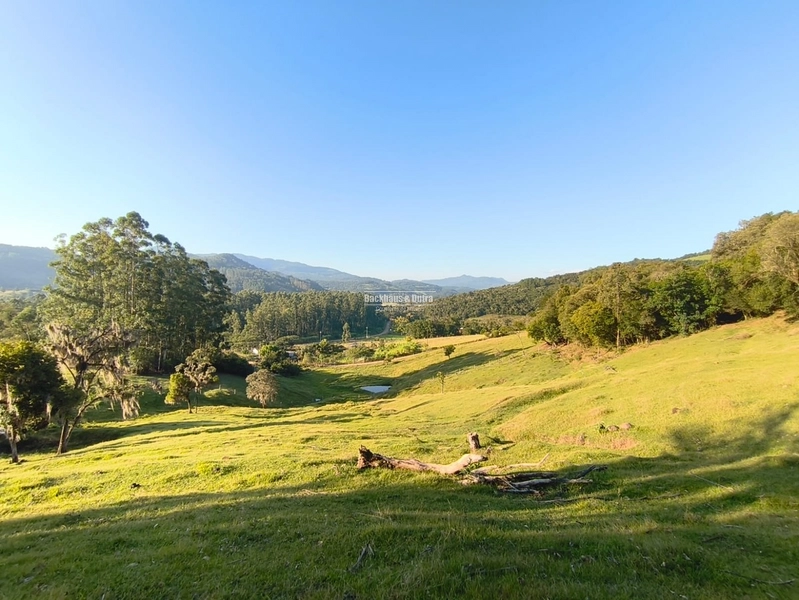 Rolante - Chácara de 5,5 hectares - Linha Reichert: 5ª foto da galeria de imagens do imóvel